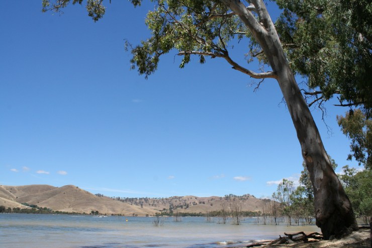 Bonnie Doon